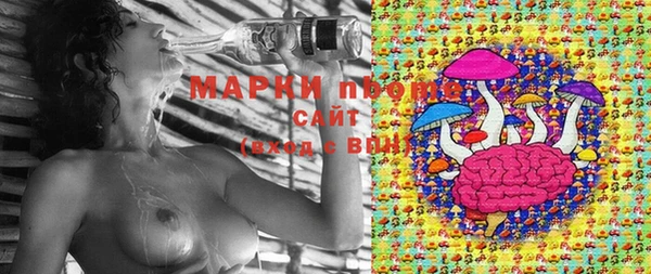спиды Кинешма