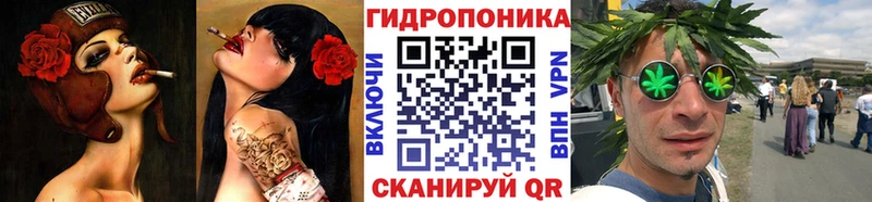Шишки марихуана OG Kush  Купить закладки  Вязники 